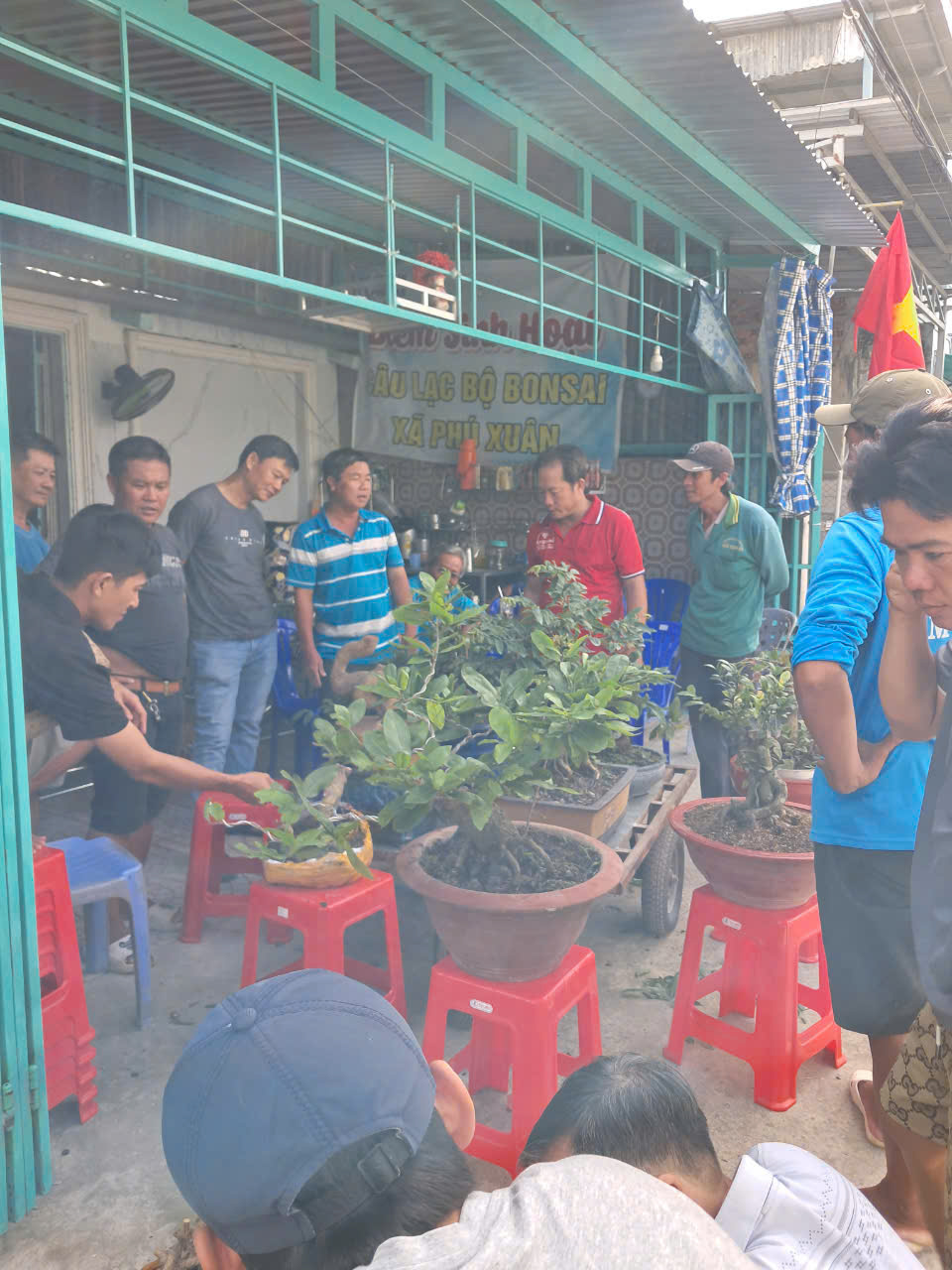 Thành lập Câu lạc bộ “ BonSai xã Phú Xuân”