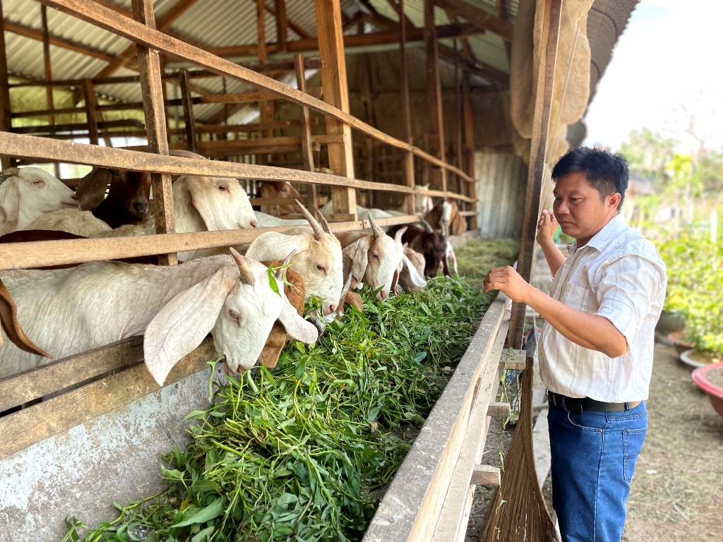 Phú Tân chú trọng phát triển kinh tế tập thể cho sản xuất nông nghiệp