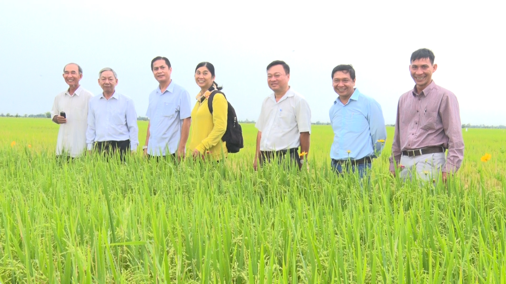 Phú Tân sơ kết mô hình thí điểm đề án 1 triệu héc-ta lúa chất lượng cao tại xã Phú Thạnh