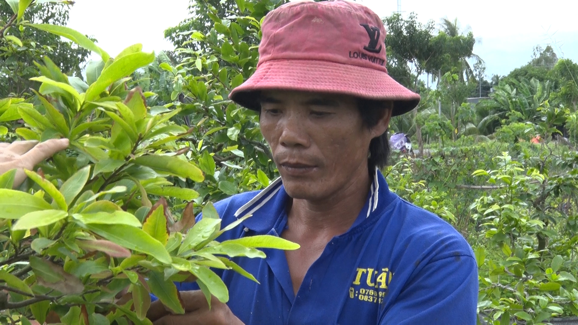 Phú Tân nhiều chị em hội viên phụ nữ khá lên nhờ nguồn vốn “hỗ trợ sinh kế”