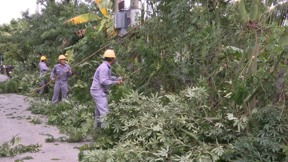 Tăng cường bảo vệ hành lang an toàn lưới điện mùa mưa bão