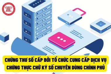 Hướng dẫn nộp hồ sơ dịch vụ chứng thực chữ ký số chuyên dùng Chính phủ