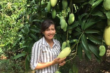 Phú Tân đã chuyển đổi cây trồng lúa kém hiệu quả sang trồng cây ăn trái với tổng diện tích được trên 828 ha